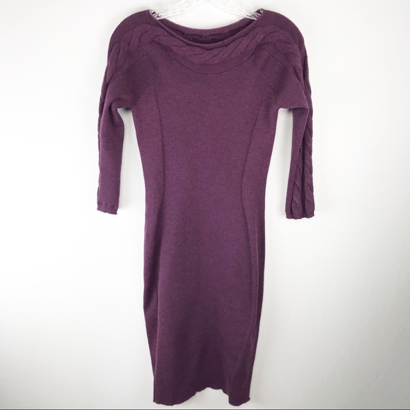 The Limited Dresses & Skirts - 🍁The Limited Fitted Knee Length Sweater Dress XS